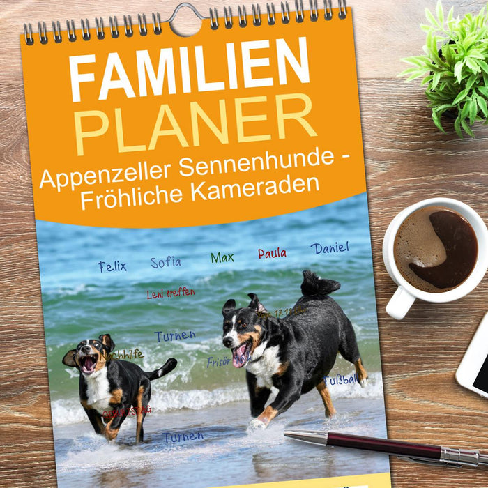 Appenzeller Sennenhunde - Fröhliche Kameraden (CALVENDO Familienplaner 2026)