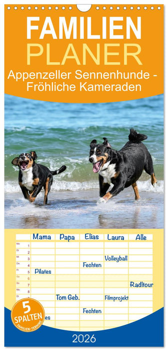 Appenzeller Sennenhunde - Fröhliche Kameraden (CALVENDO Familienplaner 2026)