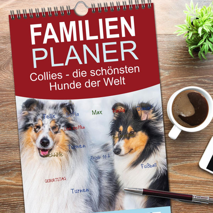 Collies - die schönsten Hunde der Welt (CALVENDO Familienplaner 2026)