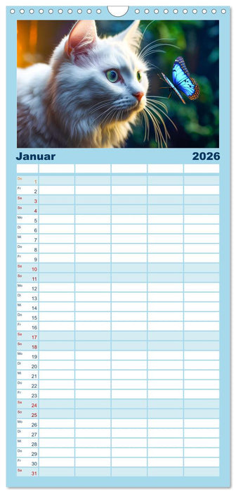 Die Katze und der Schmetterling (CALVENDO Familienplaner 2026)