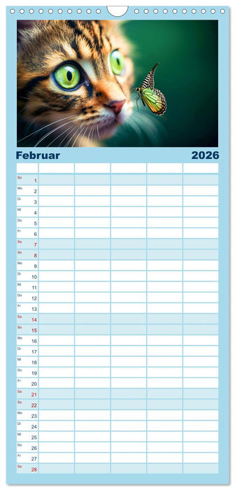 Die Katze und der Schmetterling (CALVENDO Familienplaner 2026)