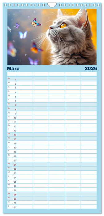 Die Katze und der Schmetterling (CALVENDO Familienplaner 2026)
