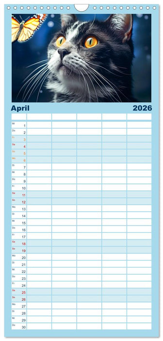 Die Katze und der Schmetterling (CALVENDO Familienplaner 2026)
