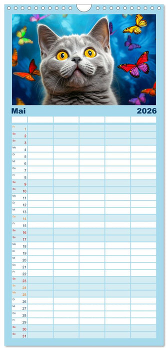 Die Katze und der Schmetterling (CALVENDO Familienplaner 2026)