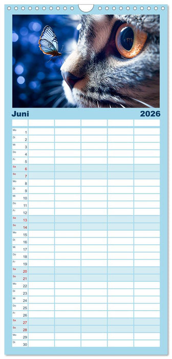Die Katze und der Schmetterling (CALVENDO Familienplaner 2026)