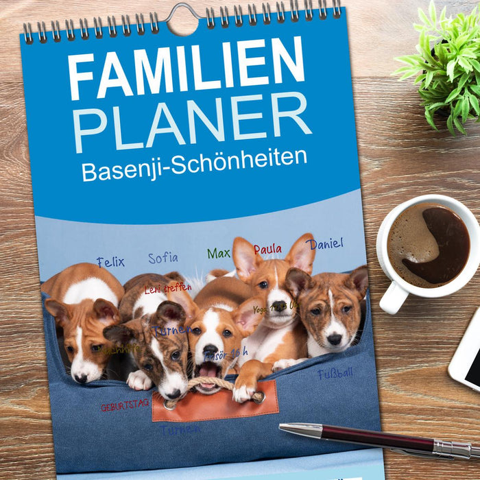 Basenji-Schönheiten (CALVENDO Familienplaner 2026)