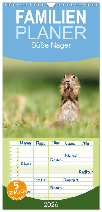 Süße Nager (CALVENDO Familienplaner 2026)