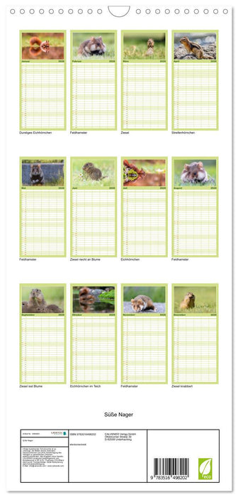 Süße Nager (CALVENDO Familienplaner 2026)