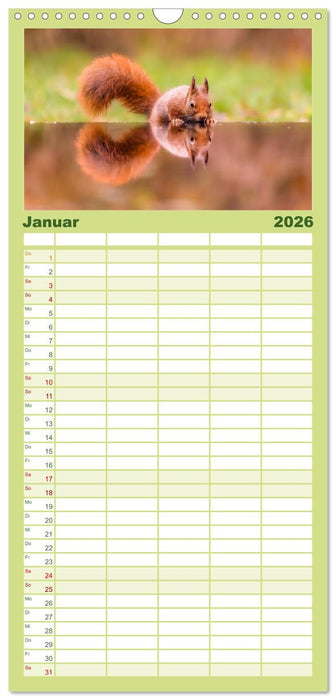 Süße Nager (CALVENDO Familienplaner 2026)