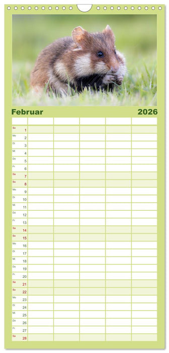 Süße Nager (CALVENDO Familienplaner 2026)