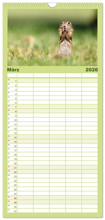 Süße Nager (CALVENDO Familienplaner 2026)