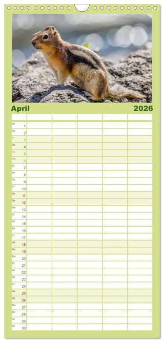 Süße Nager (CALVENDO Familienplaner 2026)