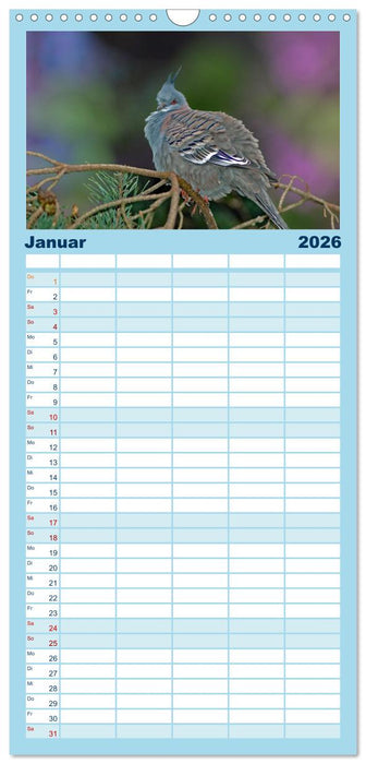 Wer gurrt denn da? (CALVENDO Familienplaner 2026)