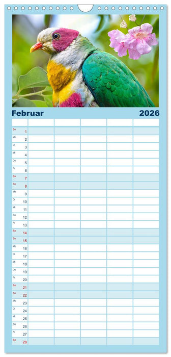 Wer gurrt denn da? (CALVENDO Familienplaner 2026)