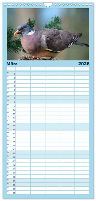 Wer gurrt denn da? (CALVENDO Familienplaner 2026)