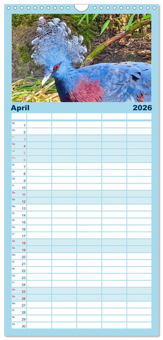 Wer gurrt denn da? (CALVENDO Familienplaner 2026)