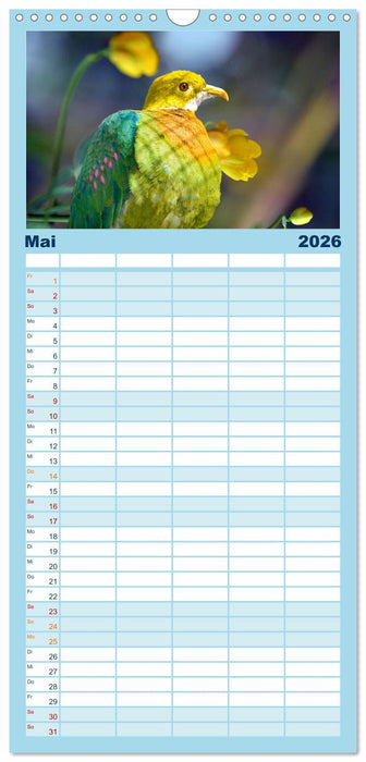 Wer gurrt denn da? (CALVENDO Familienplaner 2026)