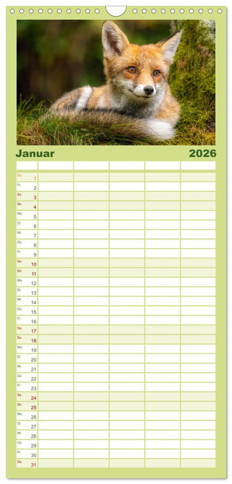 Wildtierkalender (CALVENDO Familienplaner 2026)