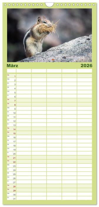 Wildtierkalender (CALVENDO Familienplaner 2026)