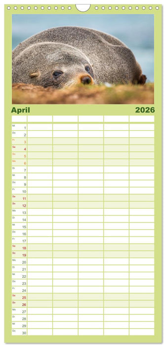Wildtierkalender (CALVENDO Familienplaner 2026)