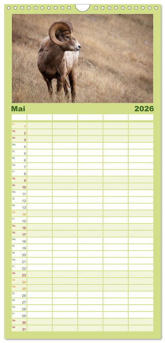Wildtierkalender (CALVENDO Familienplaner 2026)