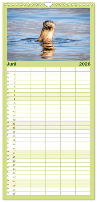 Wildtierkalender (CALVENDO Familienplaner 2026)