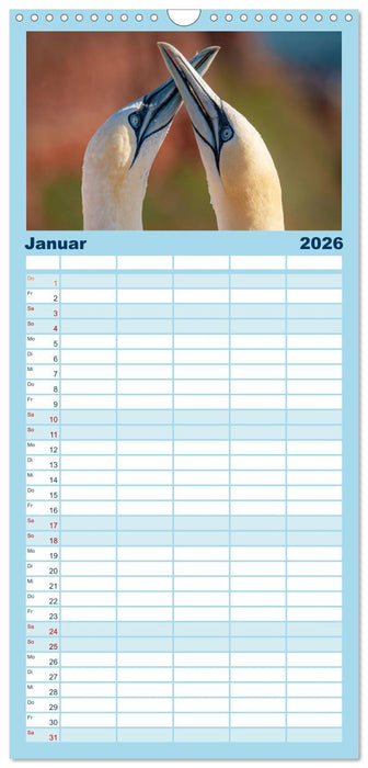 Unsere Vogelvielfalt: Ein Schatz zum Entdecken und Schützen (CALVENDO Familienplaner 2026)