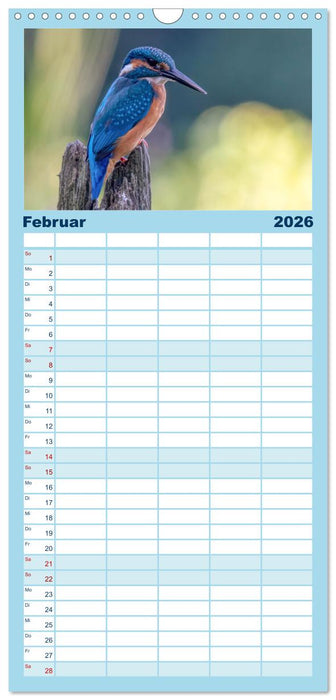 Unsere Vogelvielfalt: Ein Schatz zum Entdecken und Schützen (CALVENDO Familienplaner 2026)