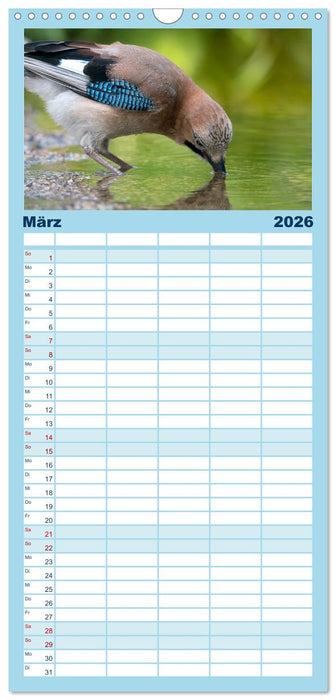 Unsere Vogelvielfalt: Ein Schatz zum Entdecken und Schützen (CALVENDO Familienplaner 2026)