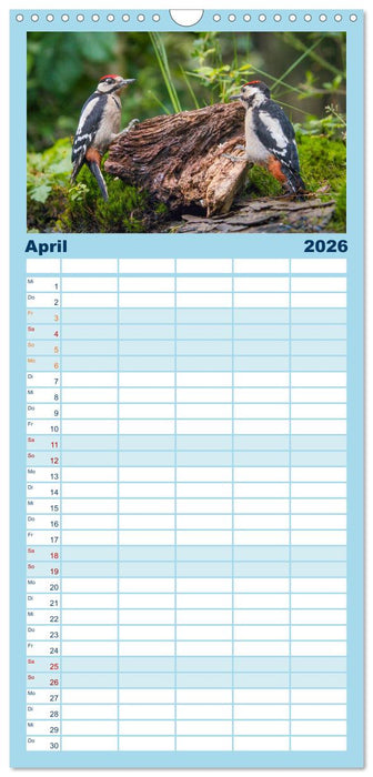 Unsere Vogelvielfalt: Ein Schatz zum Entdecken und Schützen (CALVENDO Familienplaner 2026)