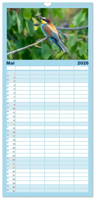 Unsere Vogelvielfalt: Ein Schatz zum Entdecken und Schützen (CALVENDO Familienplaner 2026)