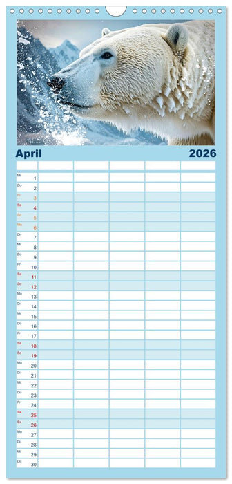 Im magischen Land der Eisbären (CALVENDO Familienplaner 2026)