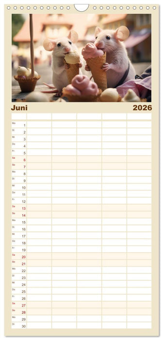 Ein Jahr im Leben von Familie Maus (CALVENDO Familienplaner 2026)