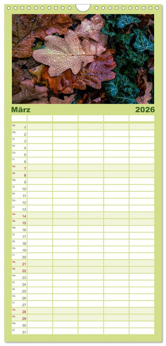 Wundervolle Naturlandschaften (CALVENDO Familienplaner 2026)