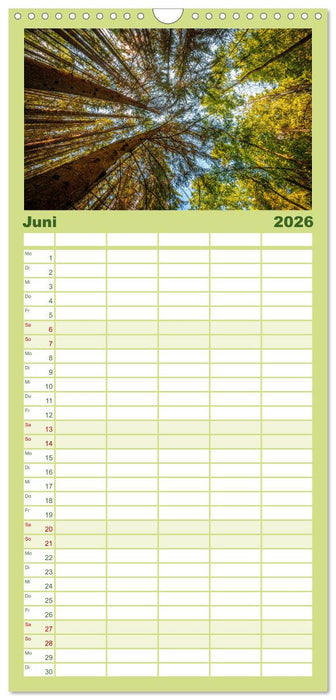 Wundervolle Naturlandschaften (CALVENDO Familienplaner 2026)