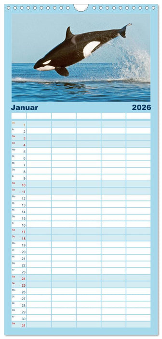 Wale: Giganten der Meere (CALVENDO Familienplaner 2026)