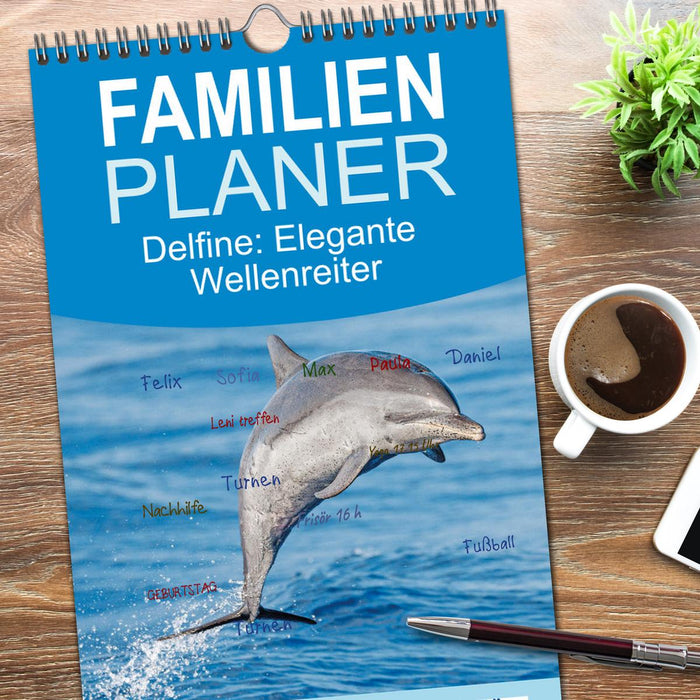 Delfine: Elegante Wellenreiter (CALVENDO Familienplaner 2026)