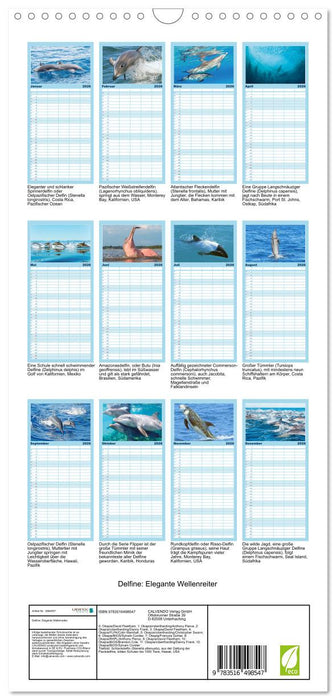 Delfine: Elegante Wellenreiter (CALVENDO Familienplaner 2026)