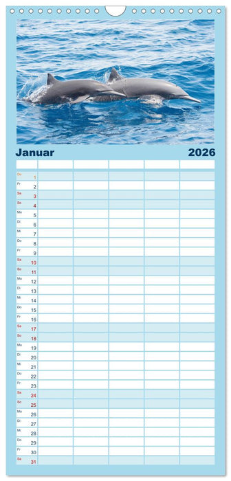 Delfine: Elegante Wellenreiter (CALVENDO Familienplaner 2026)