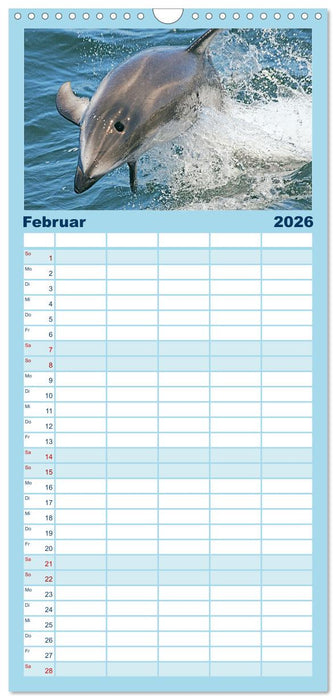Delfine: Elegante Wellenreiter (CALVENDO Familienplaner 2026)