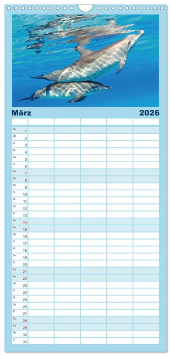 Delfine: Elegante Wellenreiter (CALVENDO Familienplaner 2026)