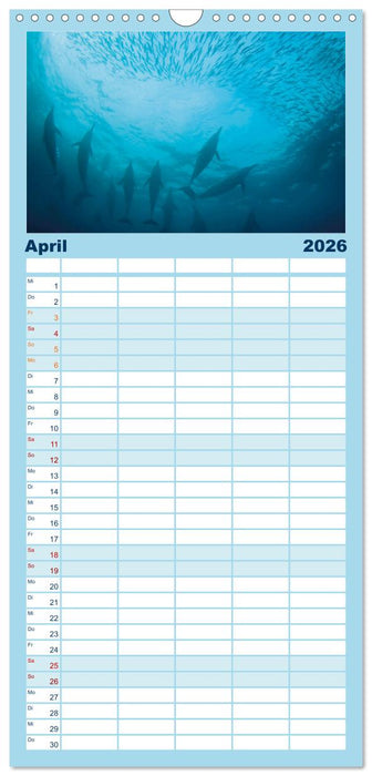 Delfine: Elegante Wellenreiter (CALVENDO Familienplaner 2026)