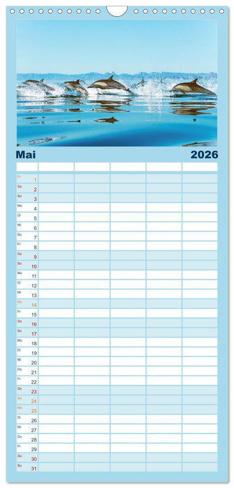 Delfine: Elegante Wellenreiter (CALVENDO Familienplaner 2026)