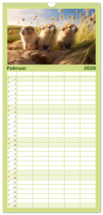 Nach Art der Lemminge (CALVENDO Familienplaner 2026)