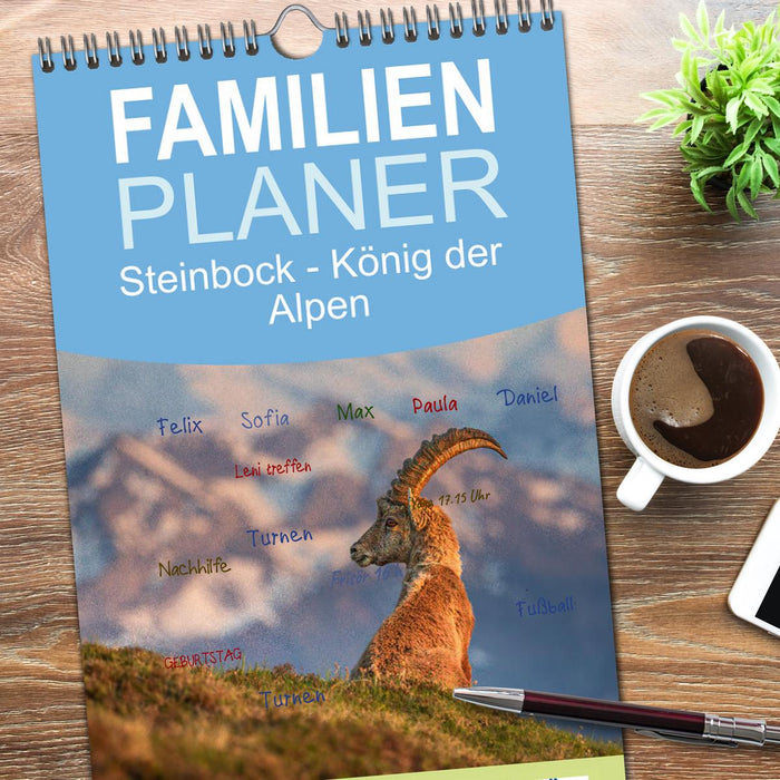 Steinbock - König der Alpen (CALVENDO Familienplaner 2026)