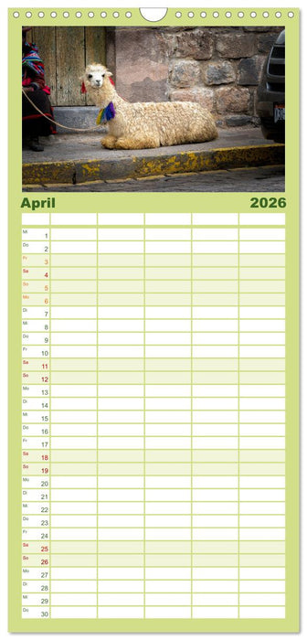 Unter Lamas und Alpakas (CALVENDO Familienplaner 2026)