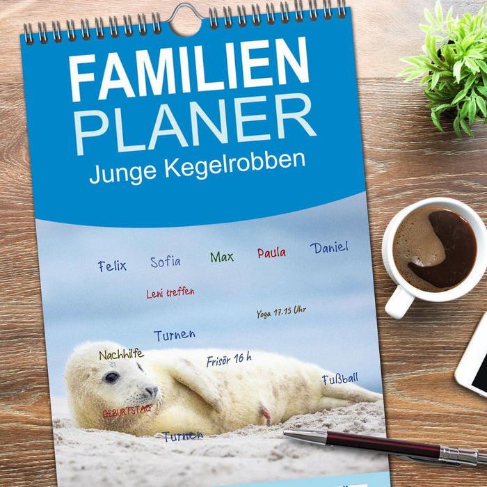 Junge Kegelrobben (CALVENDO Familienplaner 2026)