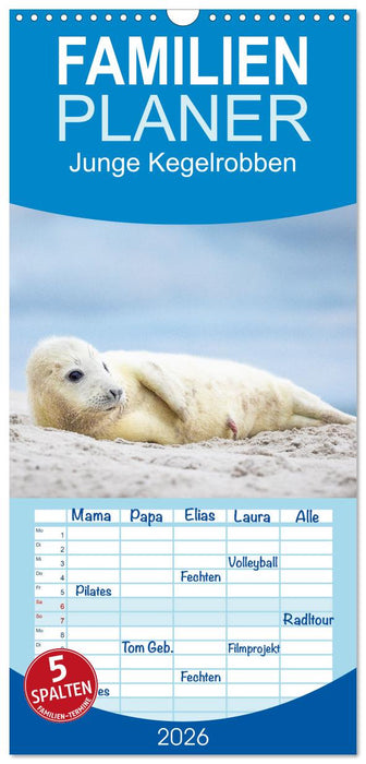 Junge Kegelrobben (CALVENDO Familienplaner 2026)
