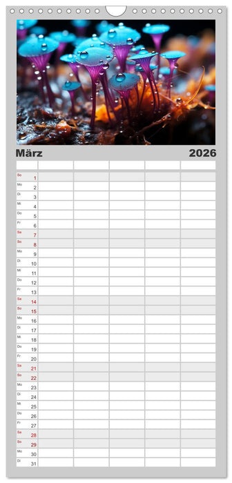 Wunderwelt Mikrokosmos (CALVENDO Familienplaner 2026)