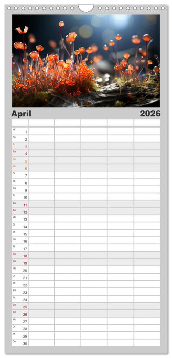 Wunderwelt Mikrokosmos (CALVENDO Familienplaner 2026)